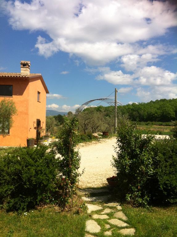 Villa Fattoria Del Quondam Giano dellʼUmbria Exterior foto